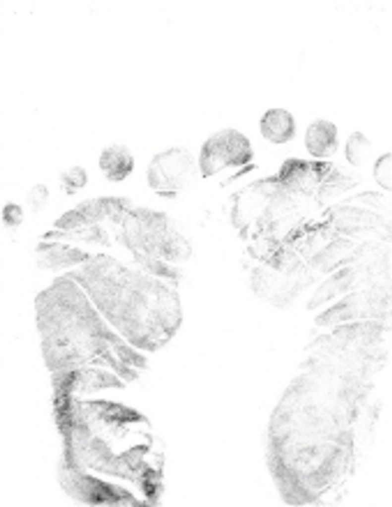 Elijah  Lloyd  Stewart