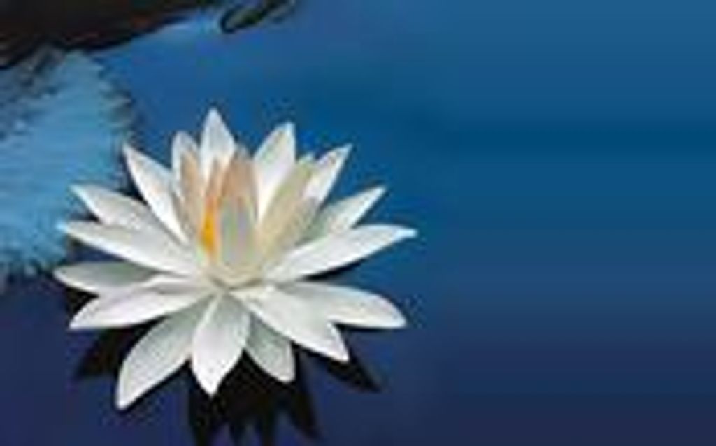 Lanetta Joanne Mcdaniel