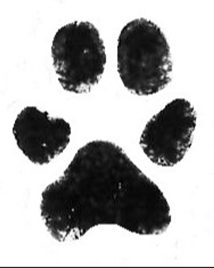 Stella Kerley