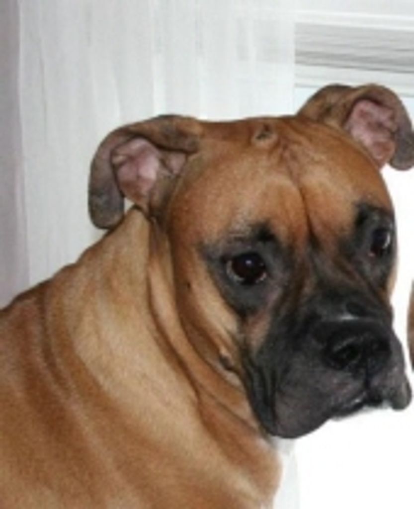 Mercy Davis Profile Photo