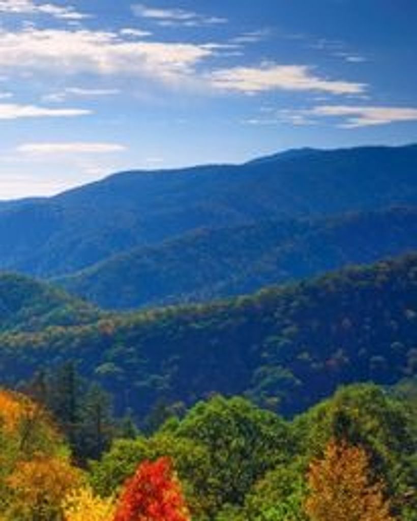 Kevin Twine Profile Photo