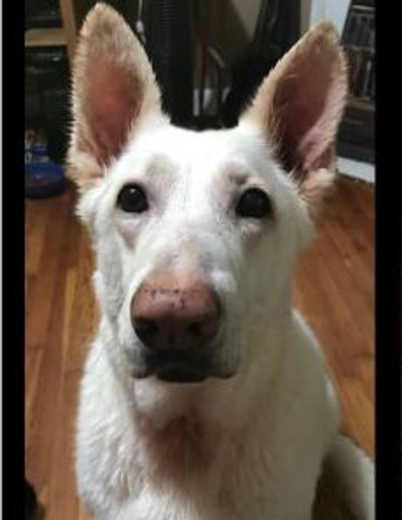 Fricka Roscoe Profile Photo