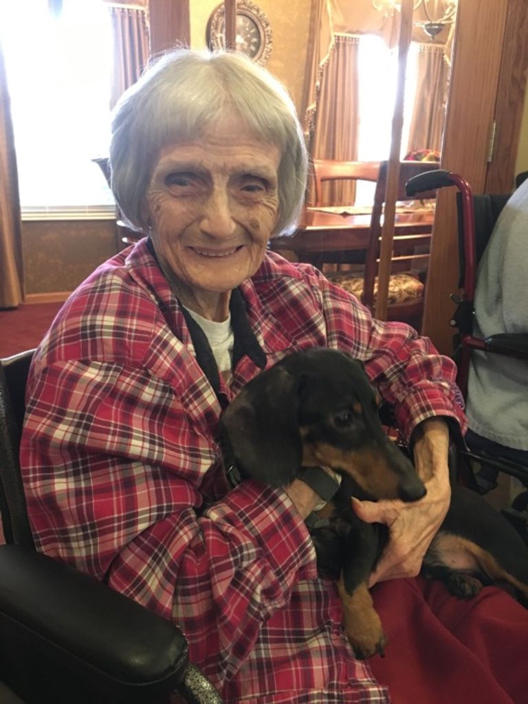 Florence Mary (Gehringer)  Hart