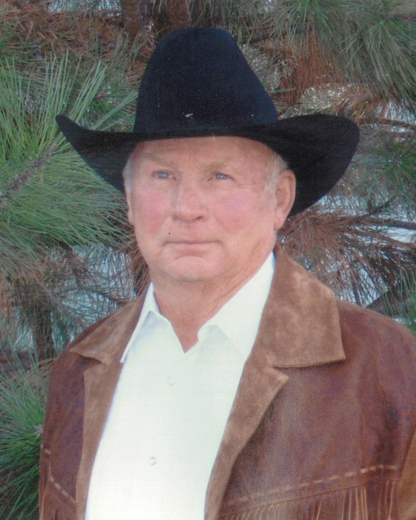 Howard James Matthews