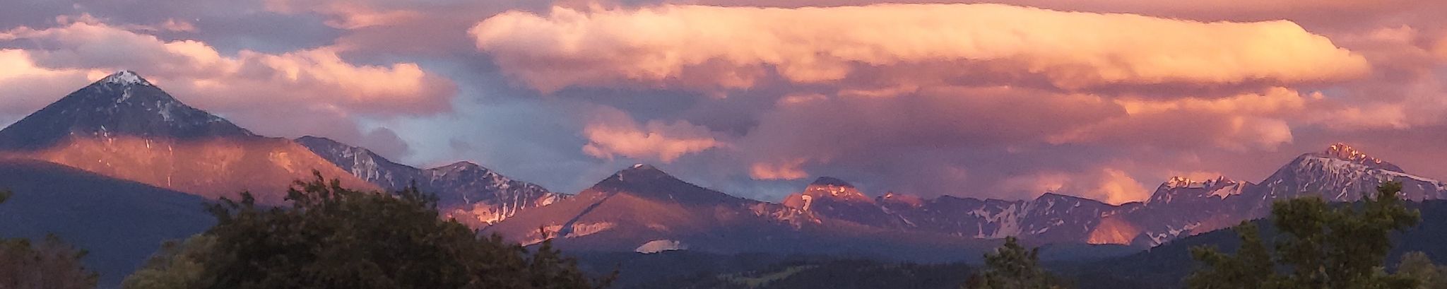 Cover for Pamela Ann Tracy's Obituary