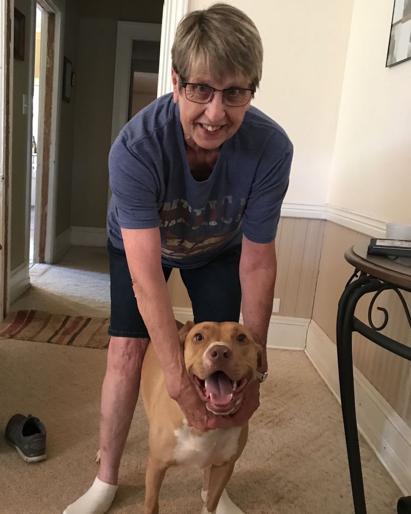 Karen Radke Allan Profile Photo
