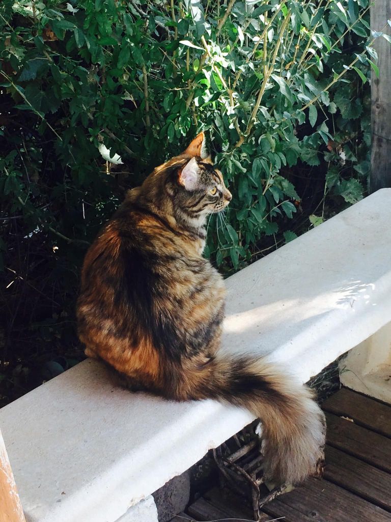 Calley Profile Photo