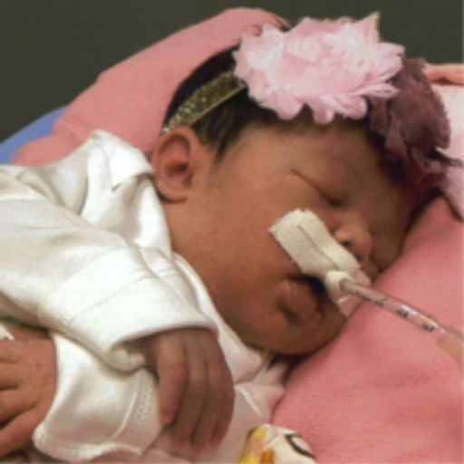 Evelyn Amelia Case Profile Photo