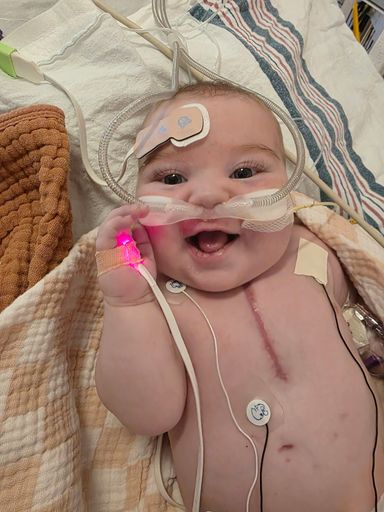 Noah James Householder Profile Photo