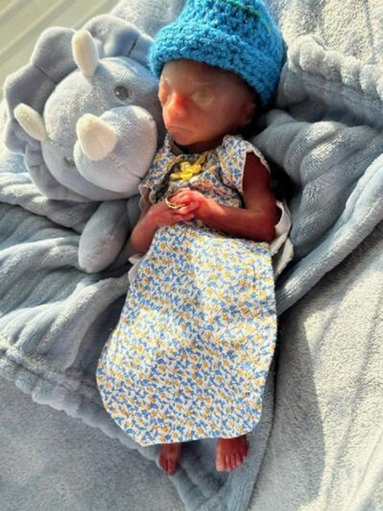 Ezekiel Anthony Solano Reid Profile Photo