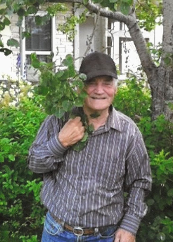 Lawrence Hedderson Profile Photo