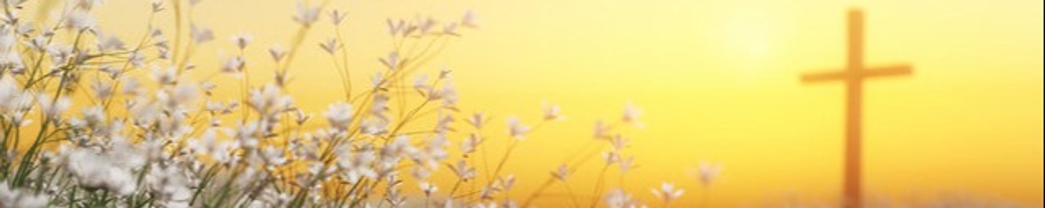 Cover for Nadine Thomas's Obituary