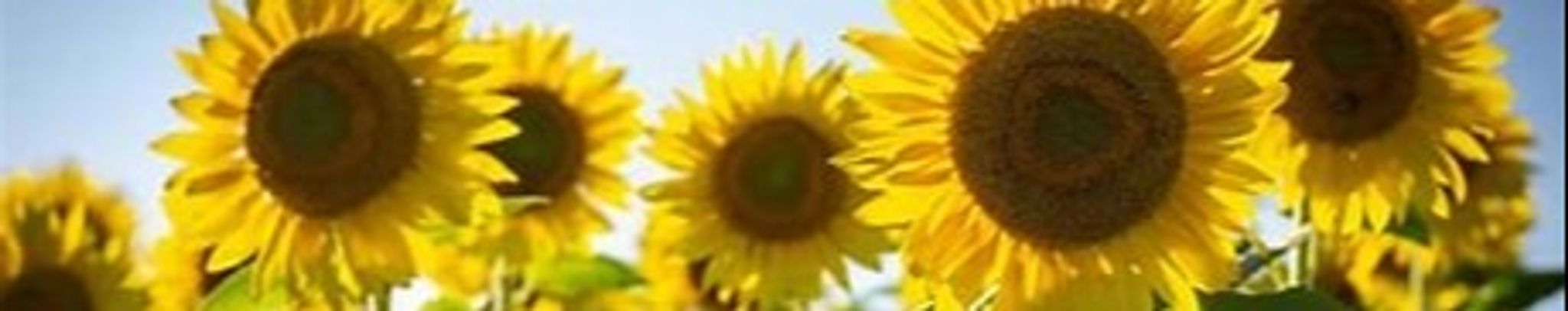 Cover photo for Mary Jane Hunter's Obituary