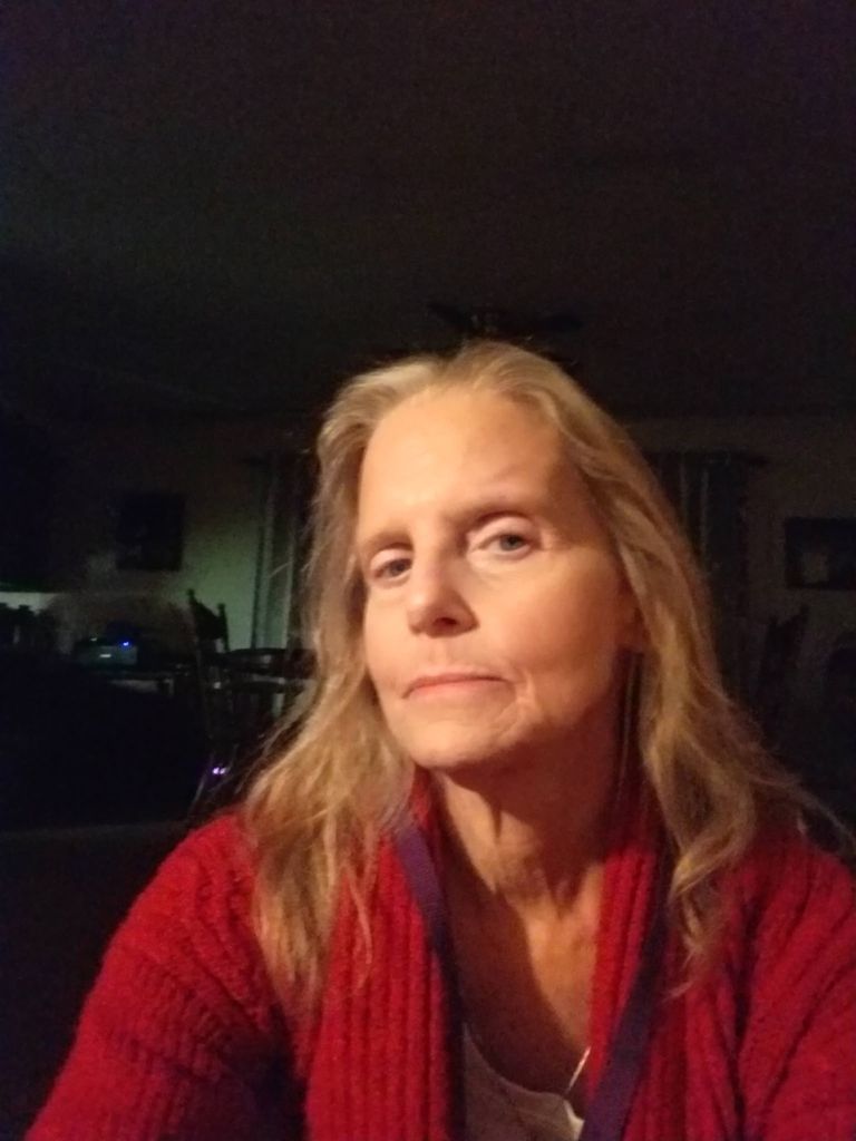 Debra Ann (Wilson)  Burzynski