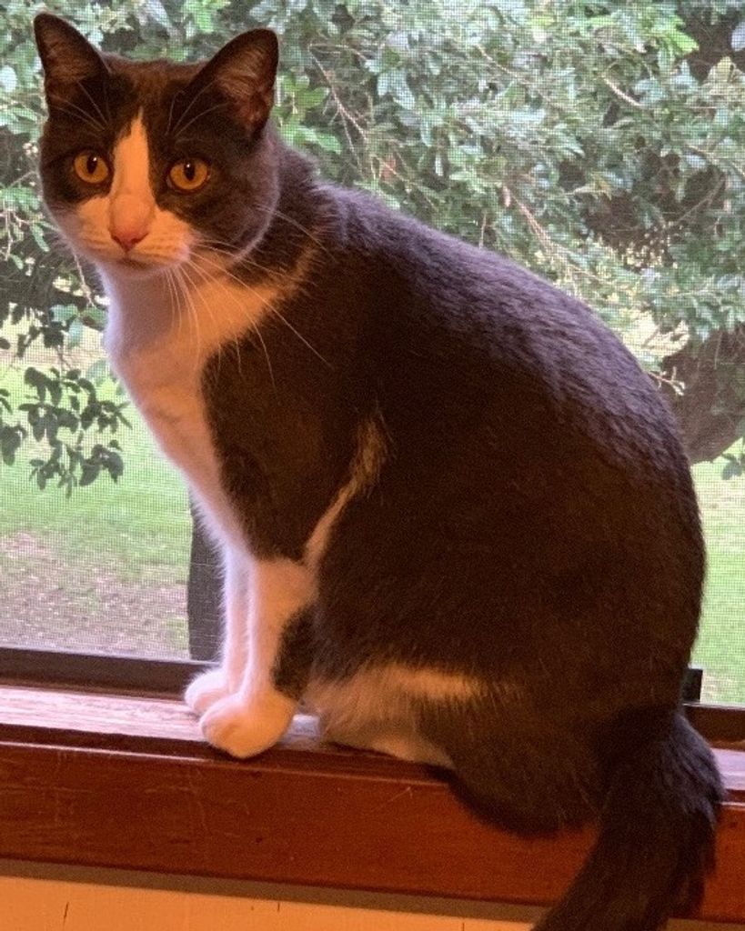 George Stormy Blair Profile Photo