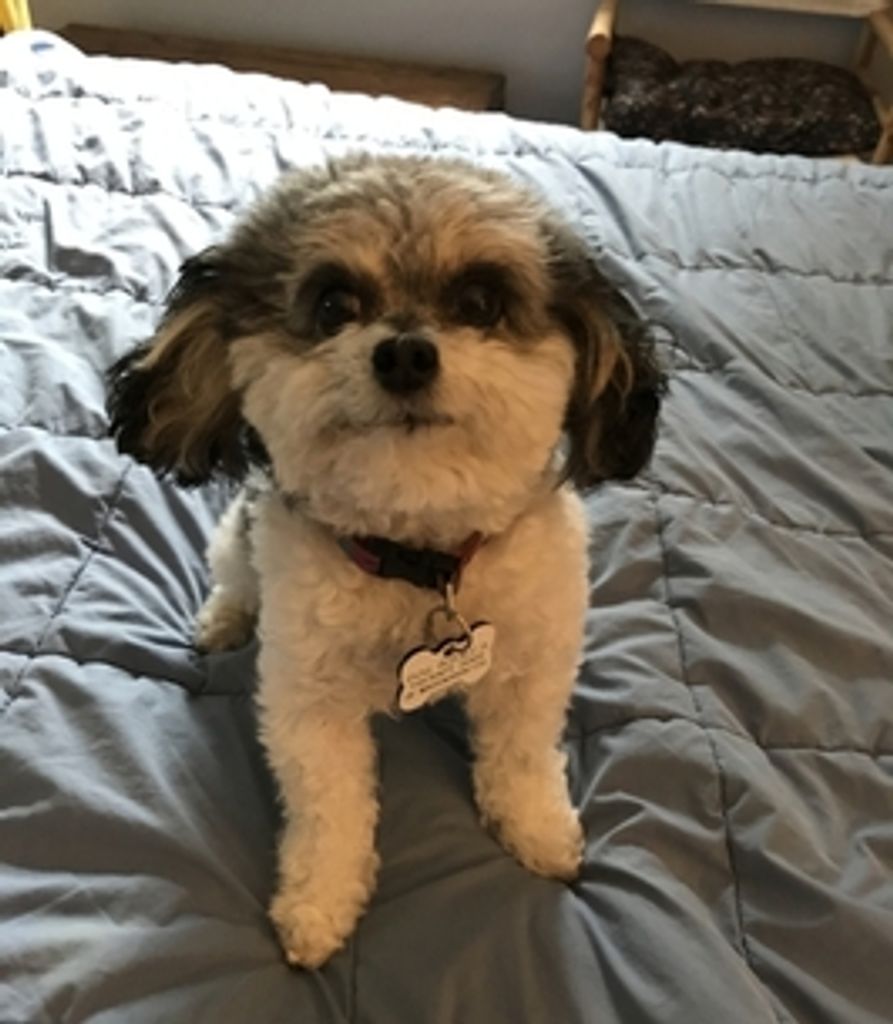 Betsy Finkel Profile Photo