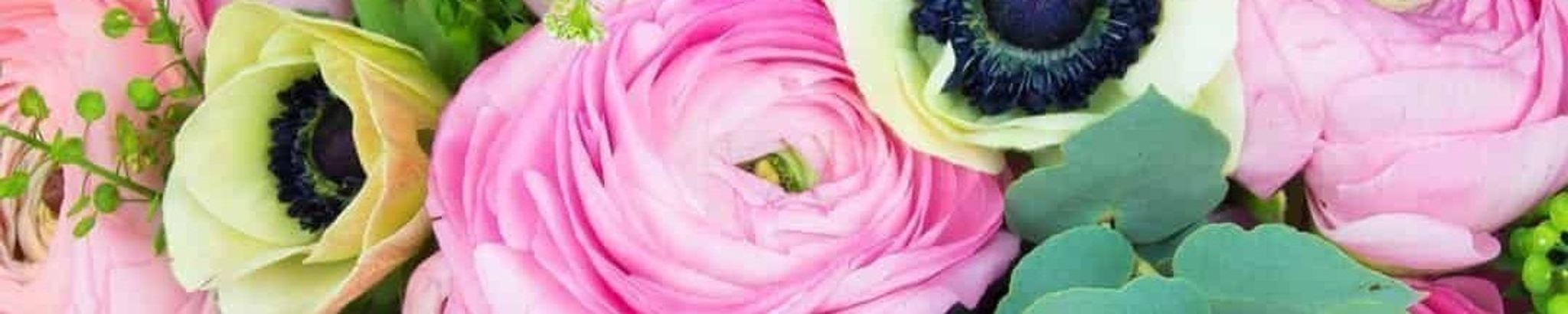 Cover photo for Mary Martinez's Obituary
