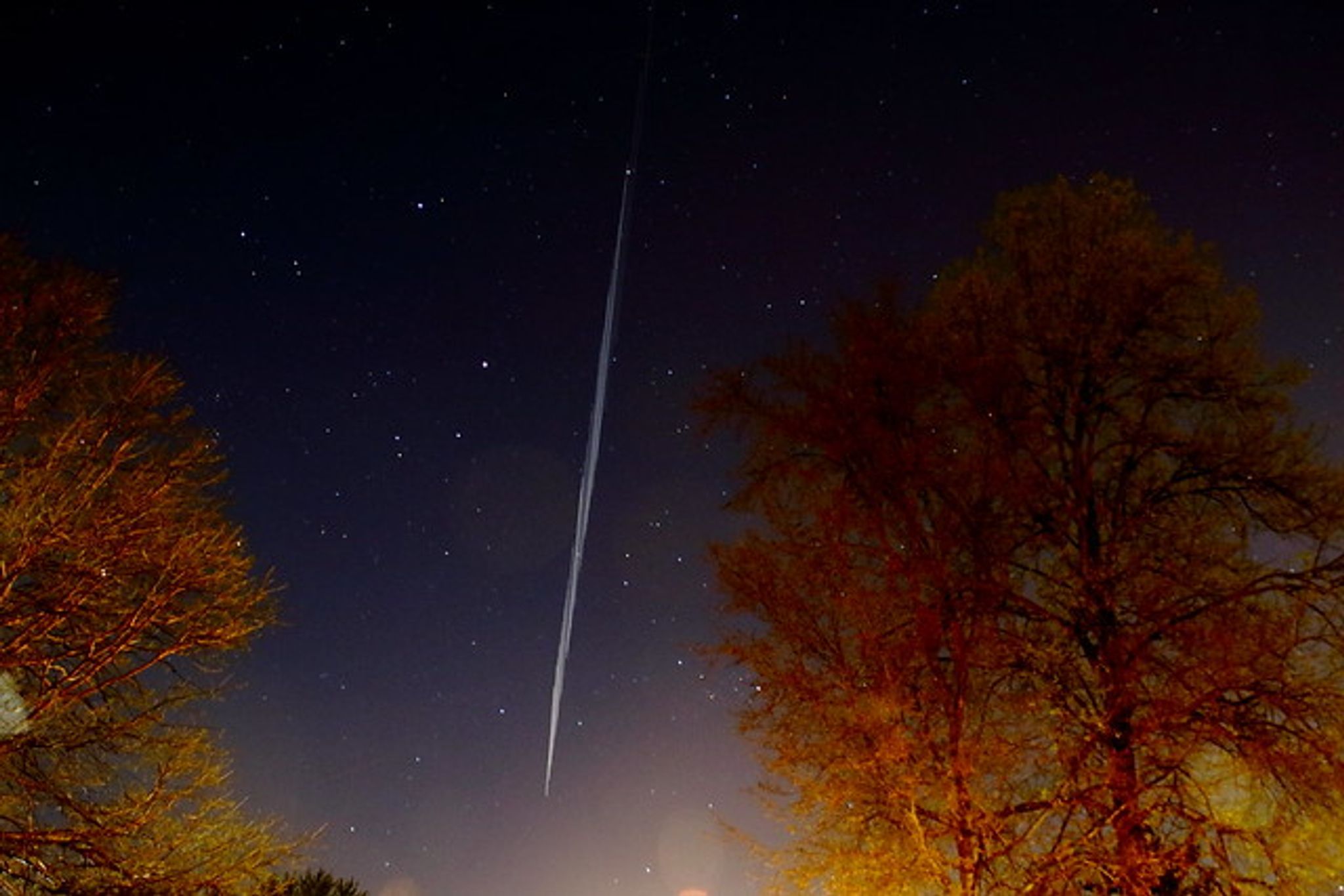 Cover for Gloria Kindig's Obituary