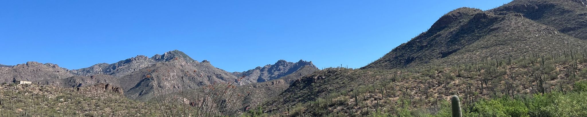 Cover photo for Jane Isabella Austin's Obituary