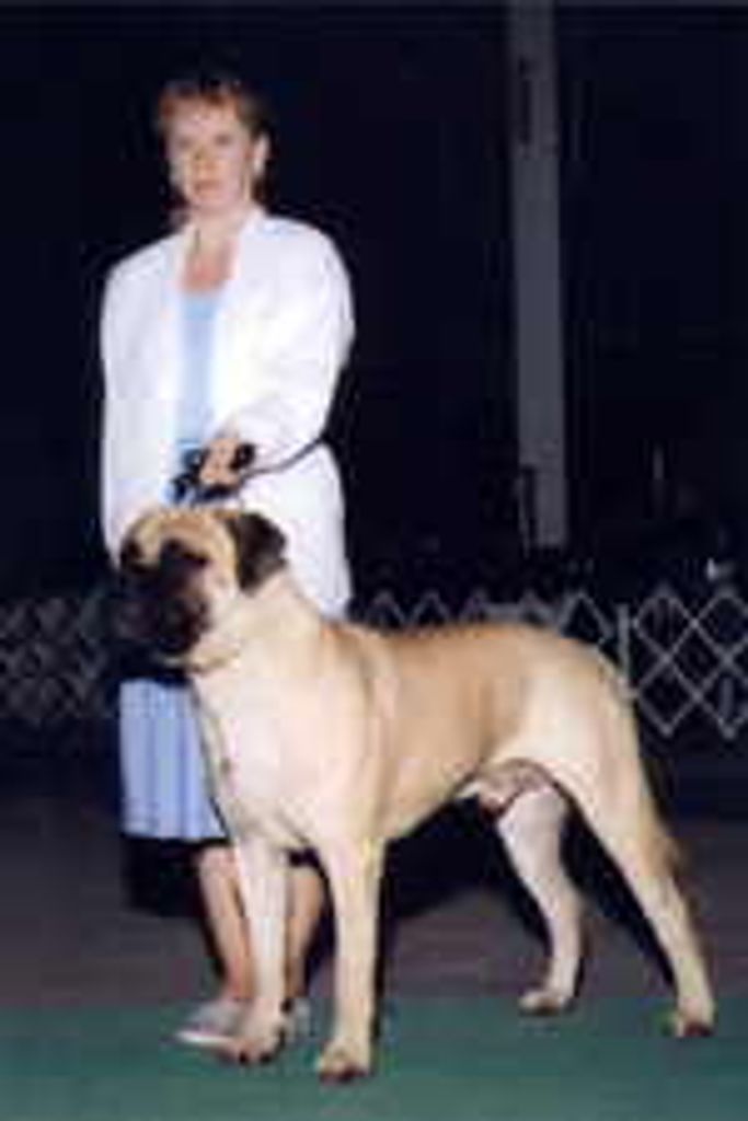 Jean Lyn Robinson