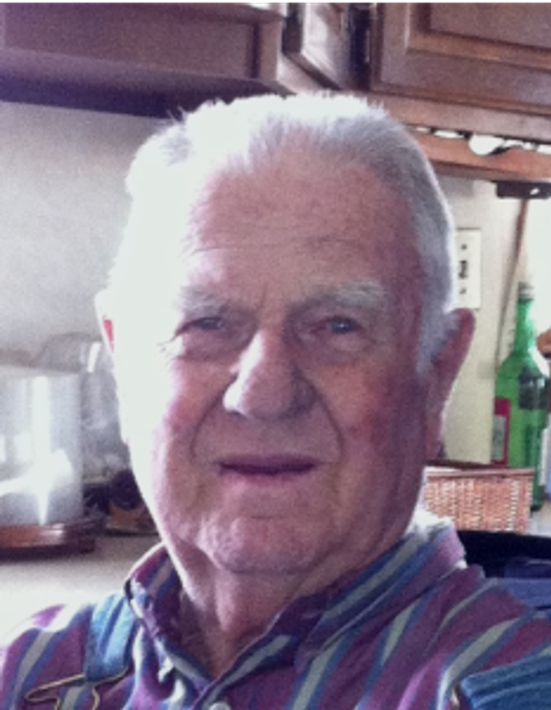 Edwin P. Schmidt