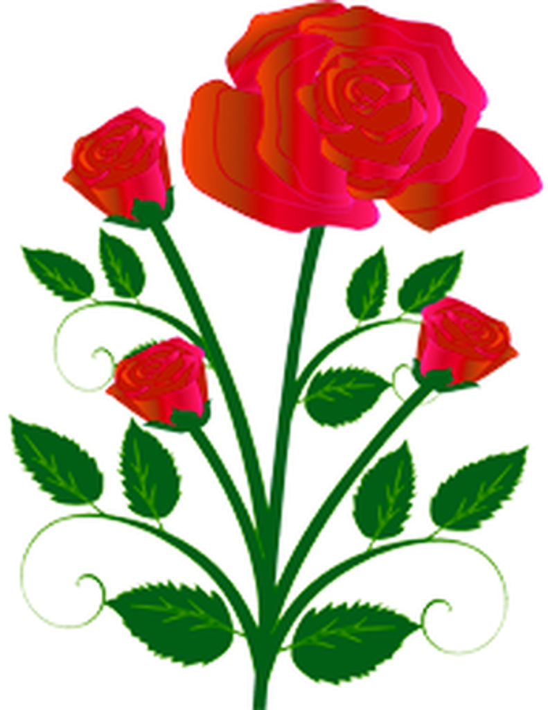 Patricia Ann (Church) Bishop