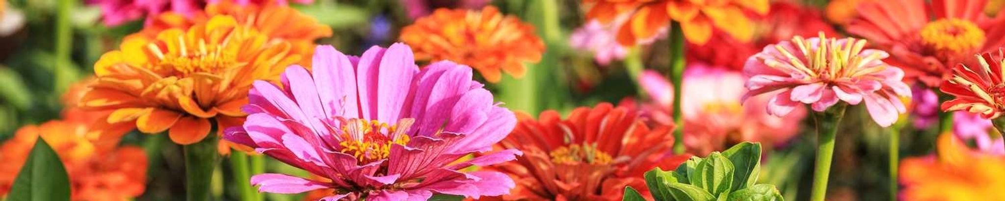 Cover photo for Mary Jore's Obituary