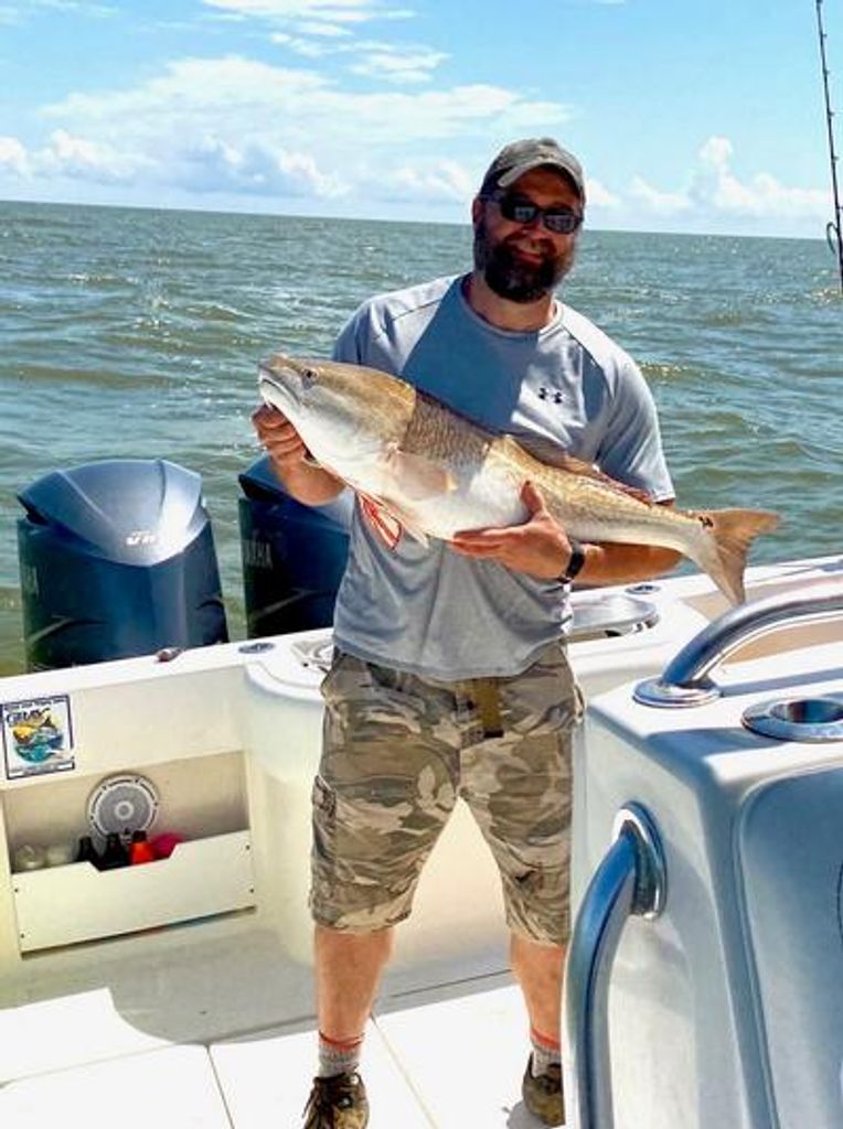 Donald Cox Profile Photo