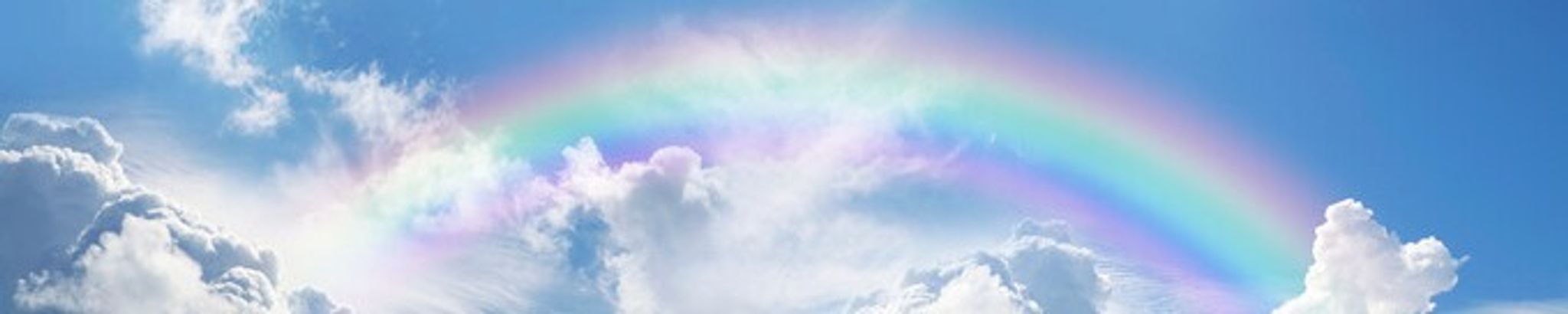 Cover for Peter Thomas Ziltz's Obituary