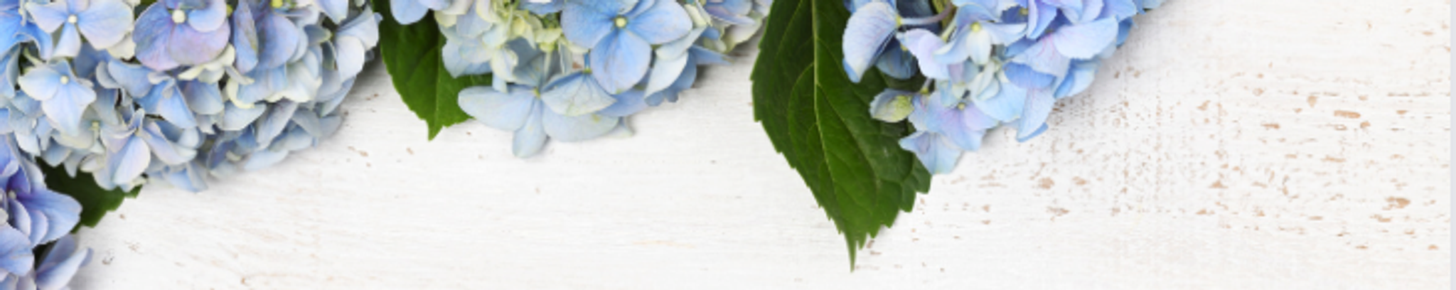 Cover photo for Rose Daniel's Obituary