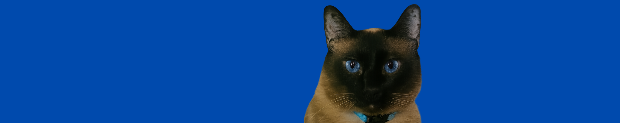 Cover for Charlene D. Michl's Obituary