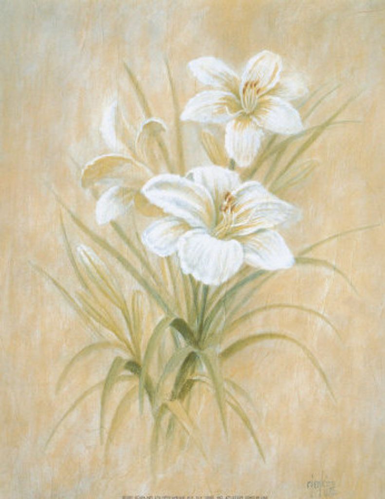 Mary L. Ross Profile Photo