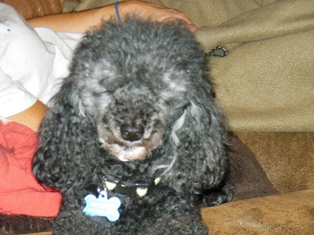 Tink Smith Profile Photo