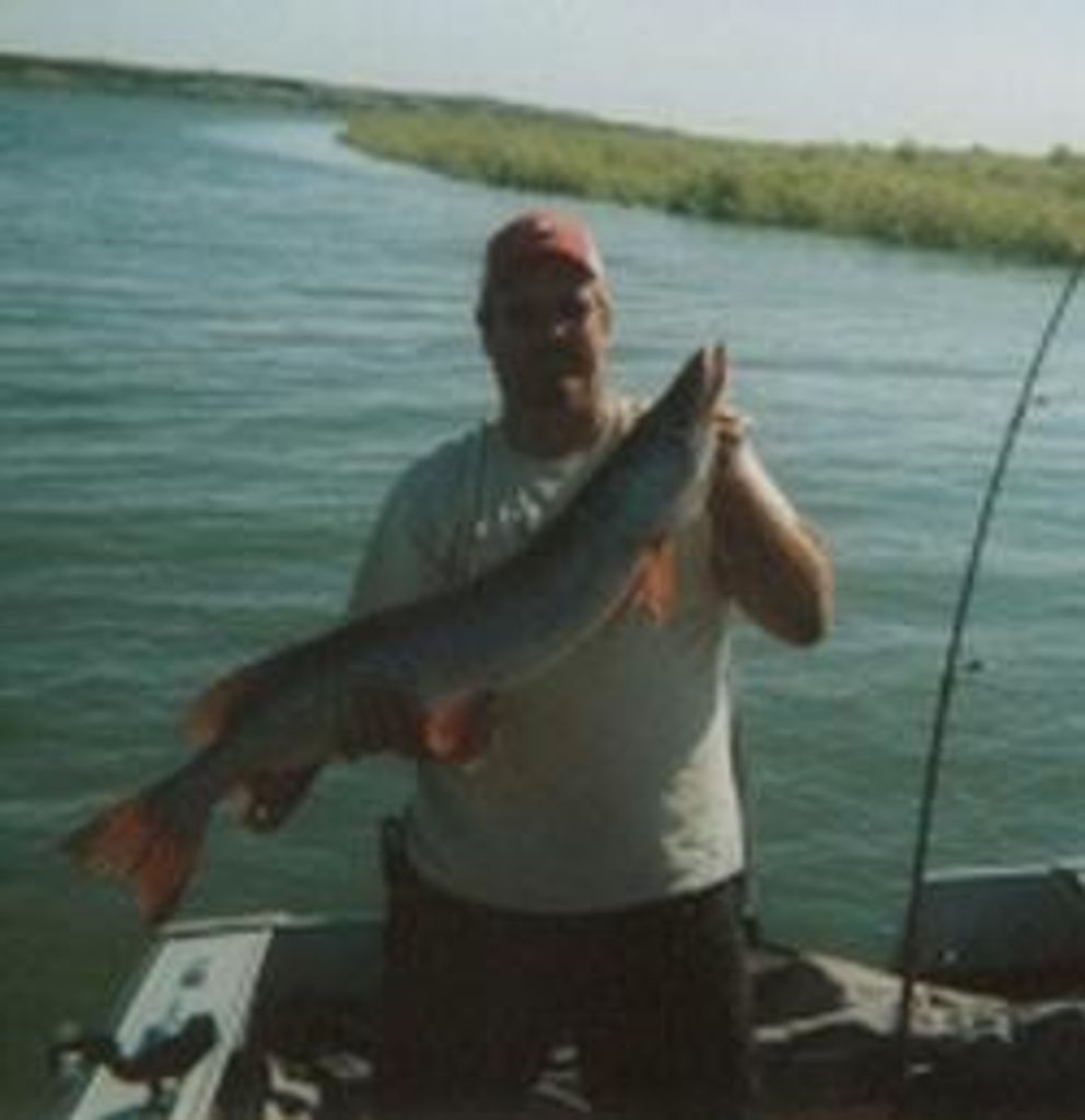 Steven L Heying Profile Photo
