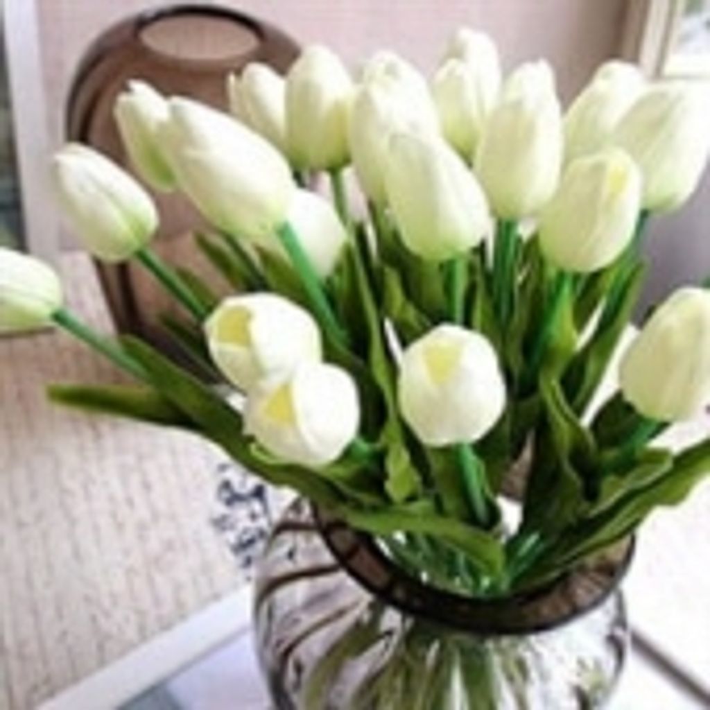 Beatrice Johns Jordan