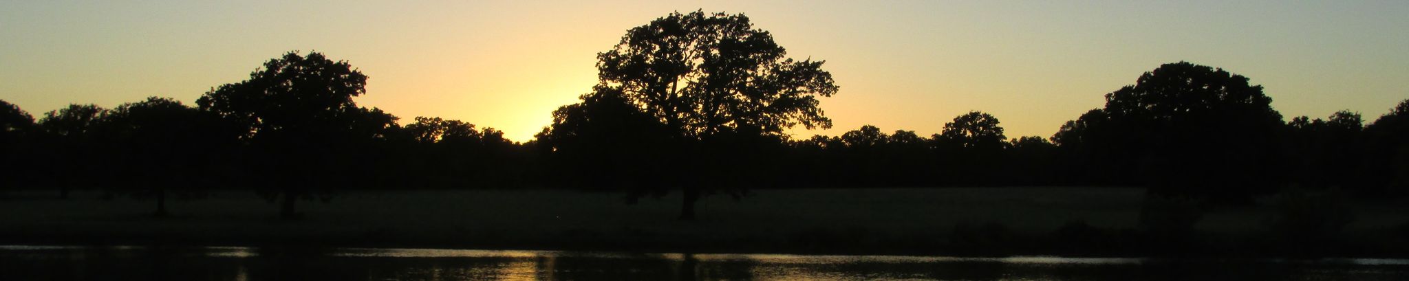 Cover photo for Ray Stone's Obituary