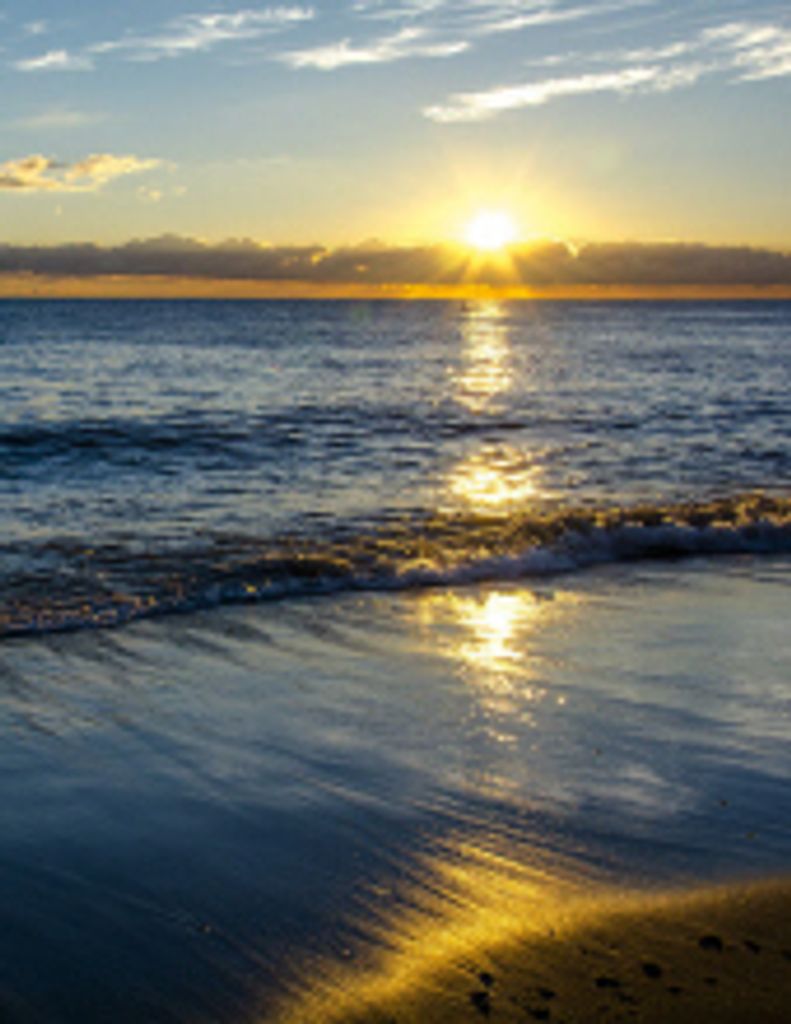 Peggy Lee Manton Profile Photo