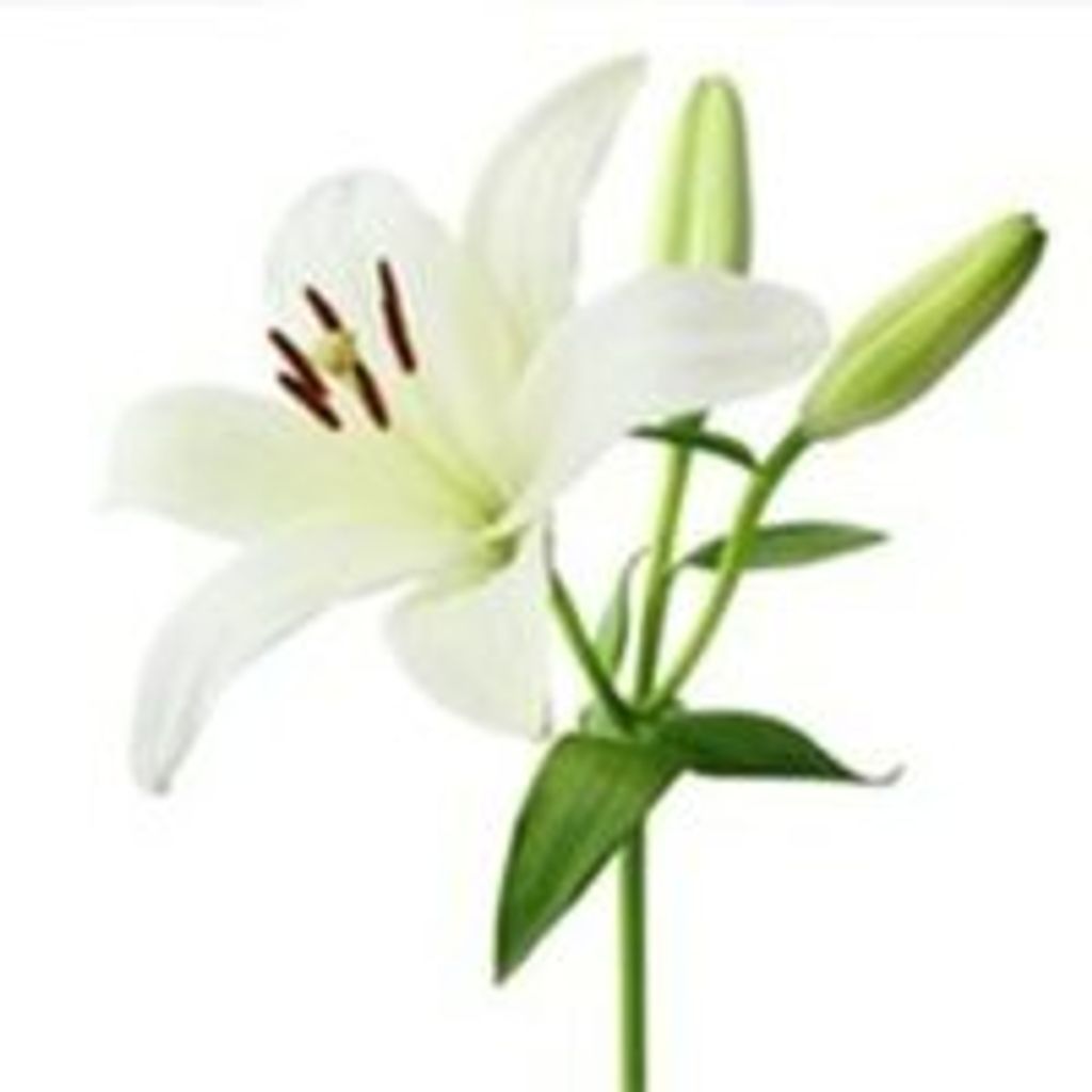 Inta Sithisaiya Profile Photo