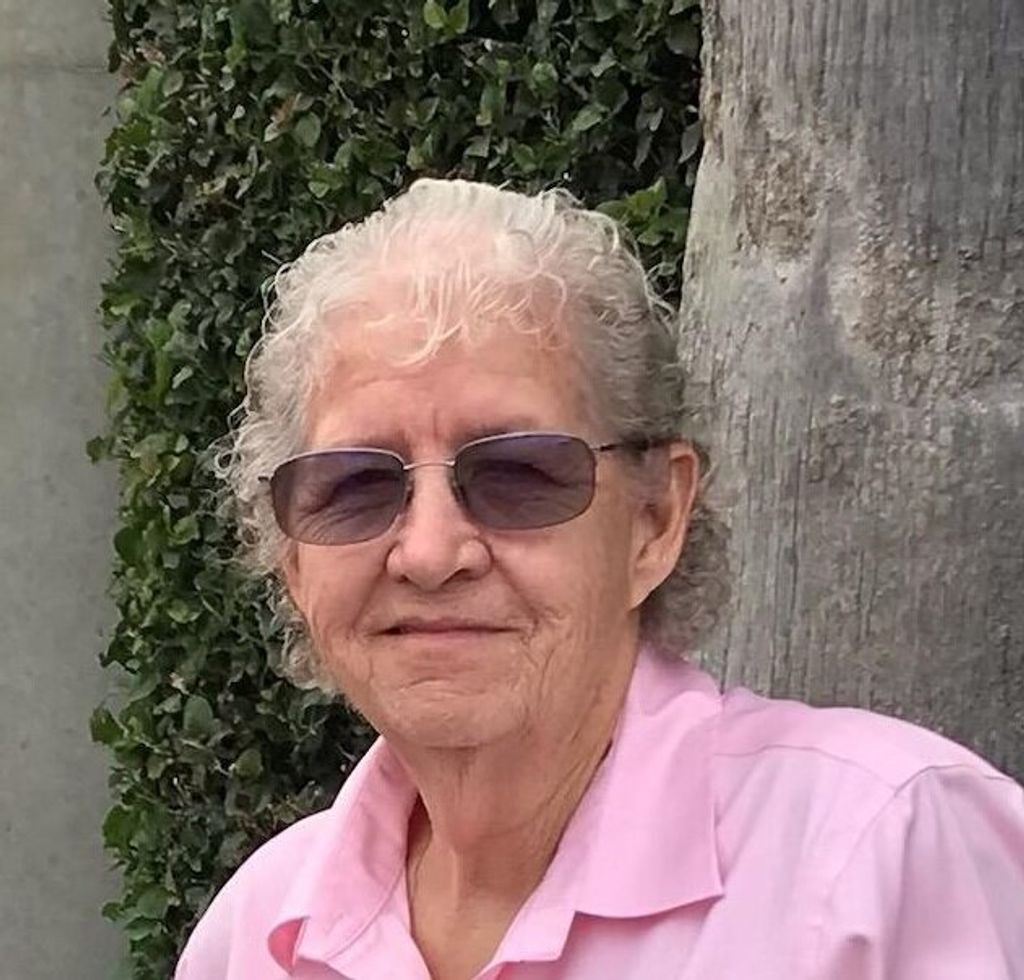 Diane G. Hopkins
