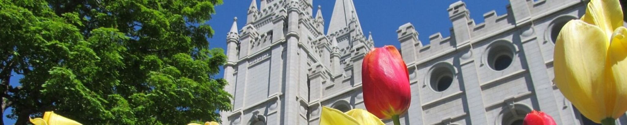 Cover photo for Gayla S. Wixom's Obituary