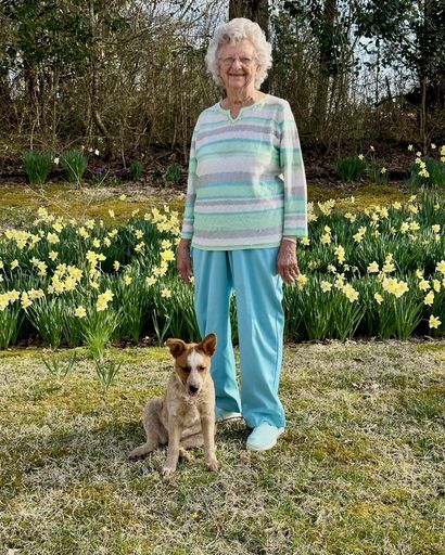 Sarah Allene Dorsey Profile Photo