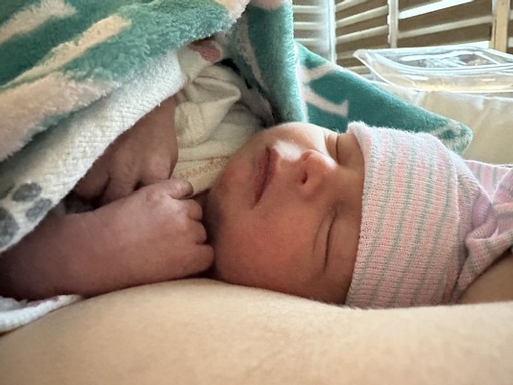 Jeffry Davin Hochstetler Profile Photo