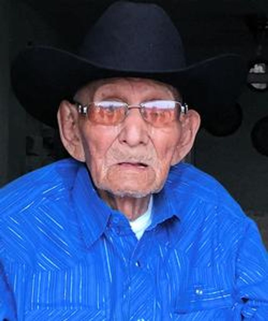 Brown Vandever