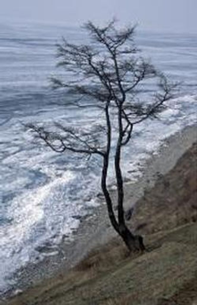 Jerry Hurst Profile Photo