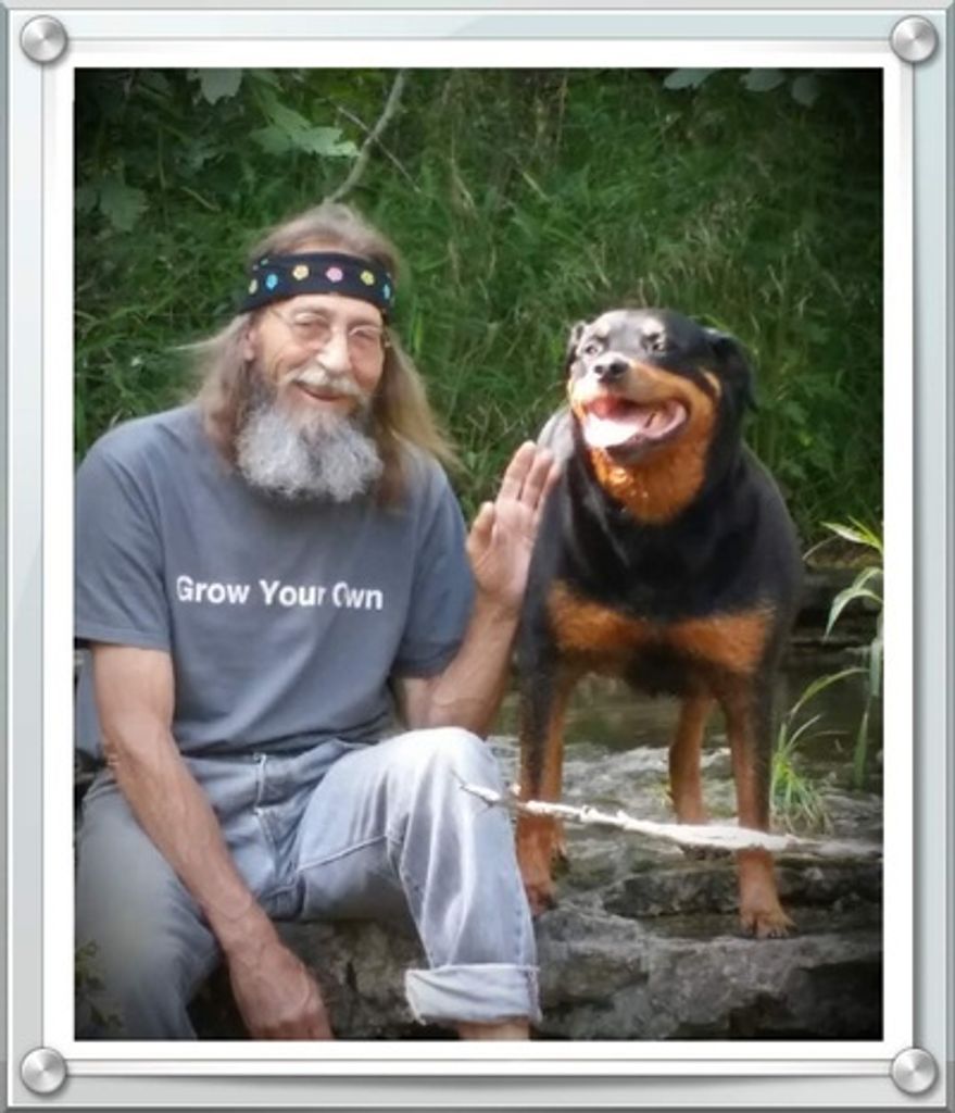 Stephen Terry Israel Profile Photo
