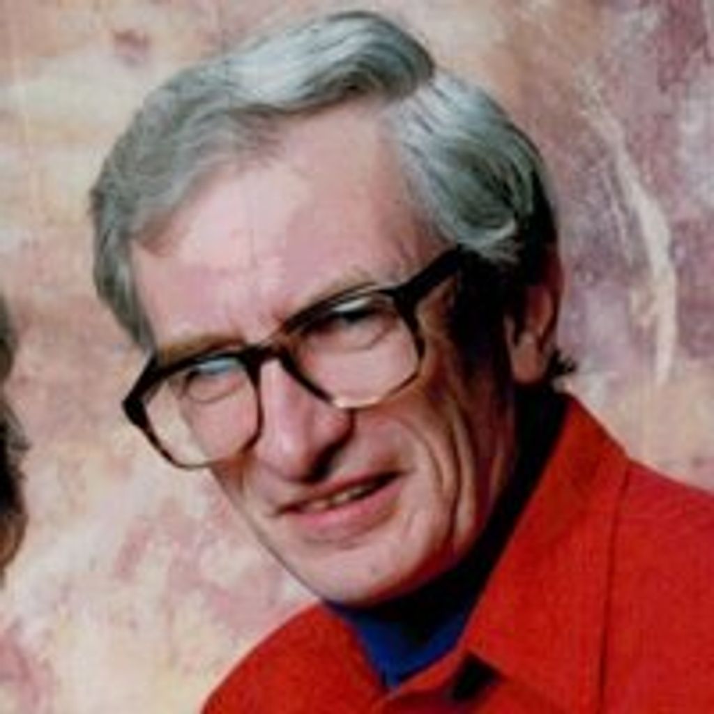 David L. Perkins