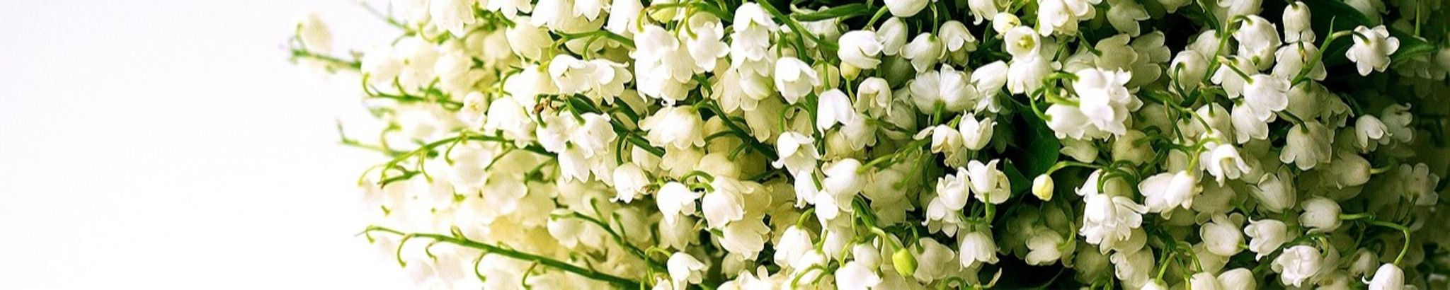 Cover for Lois Mary Plattner's Obituary