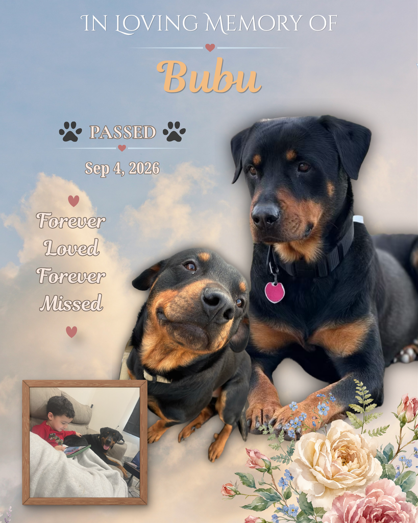 Bubu Profile Photo