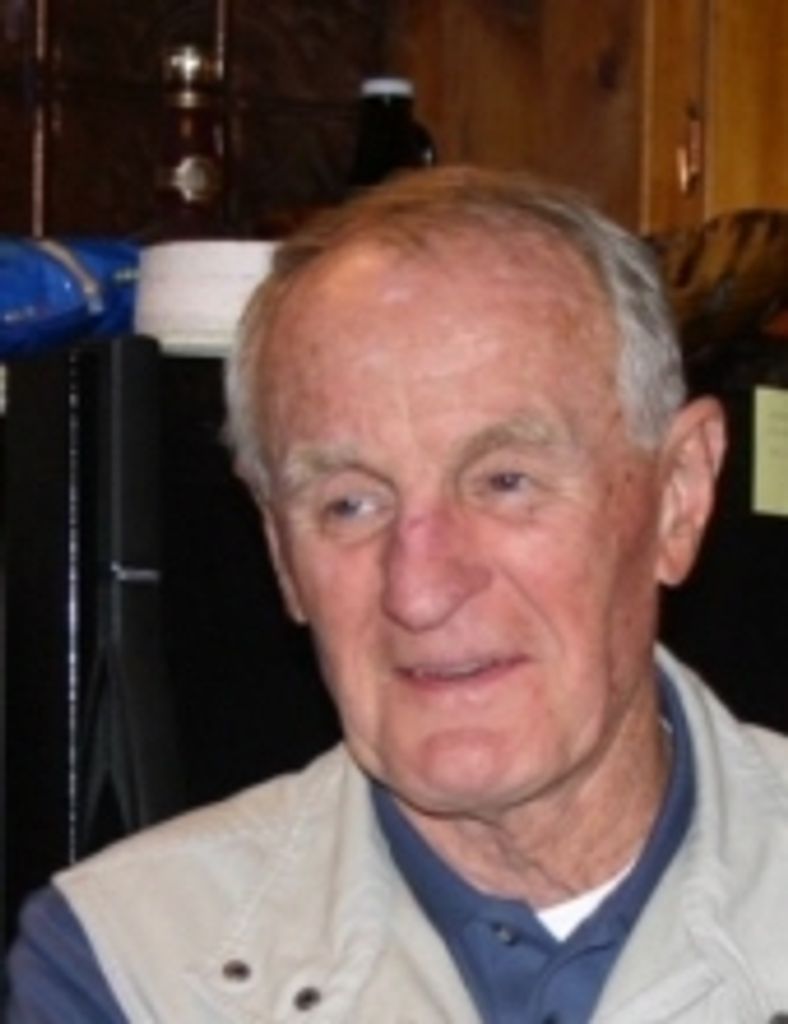 Thomas A Dinauer