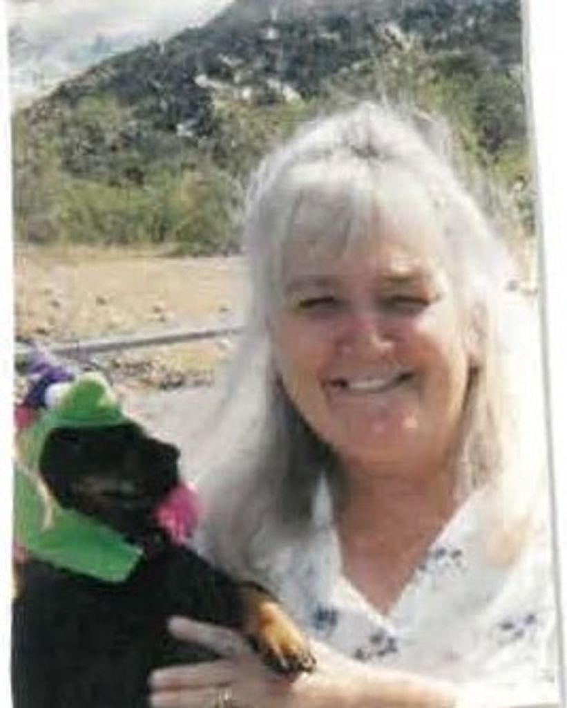 Kathleen Ellen Volner Profile Photo